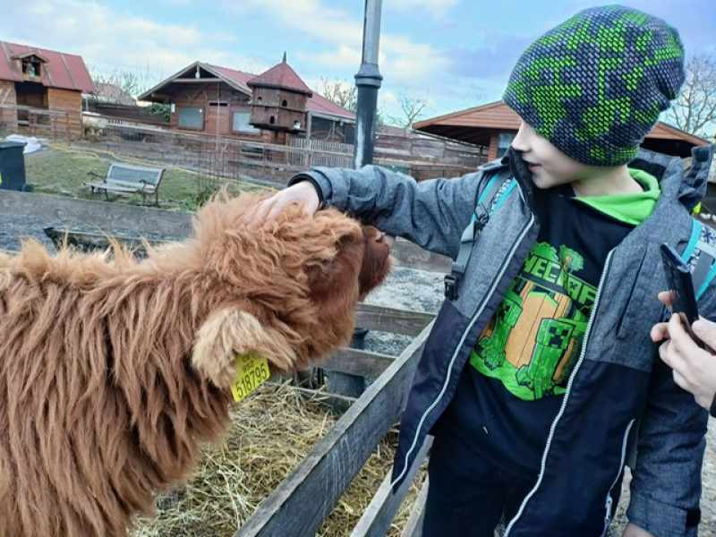 Návštěva svíčkárny v Šestajovicích